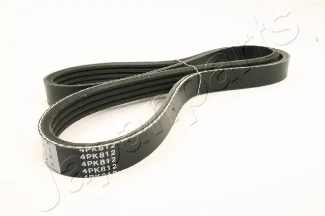 V-Ribbed Belt (DV-4PK0812)
