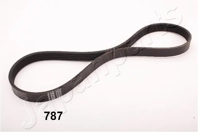V-Ribbed Belt (TV-787)