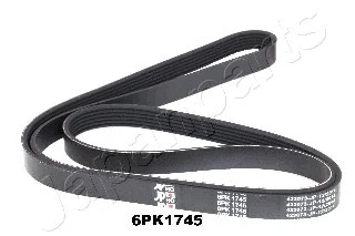 V-Ribbed Belt (DV-6PK1745)