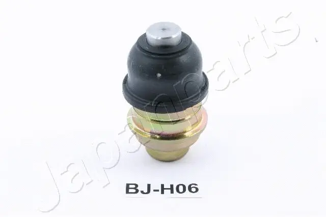 Ball Joint (BJ-H06)