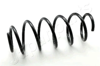 Suspension Spring (ZC3284H)