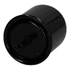 Fuel Filter (FC-110S)