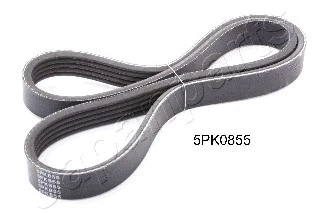 V-Ribbed Belt (DV-5PK0855)