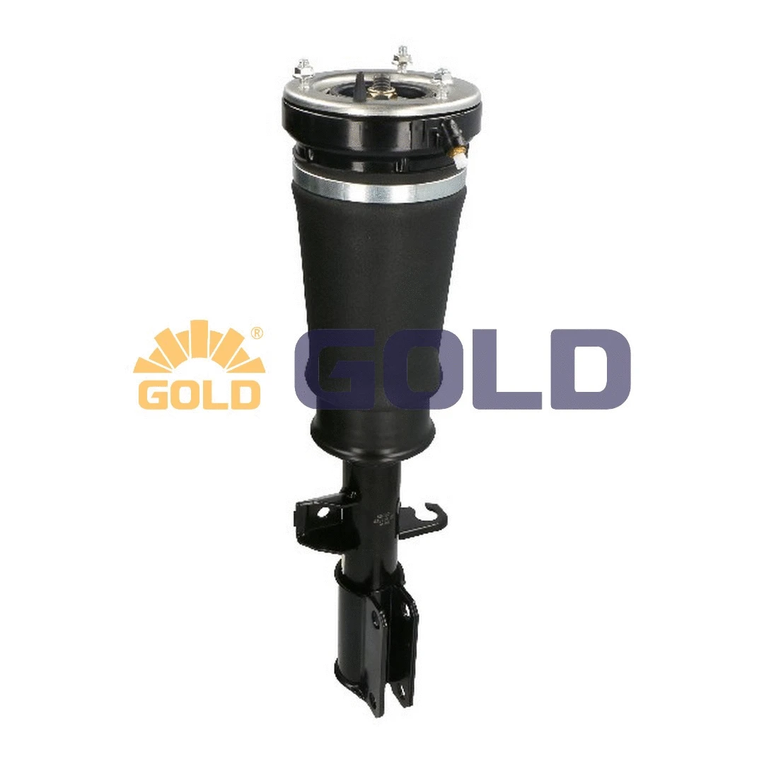 Air Suspension Strut (G680042)