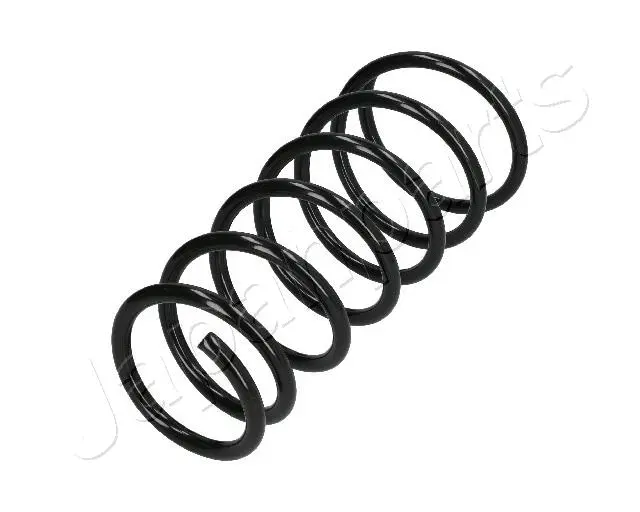 Suspension Spring (ZC5313I)