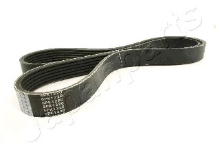 V-Ribbed Belt (DV-6PK1220)