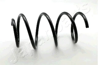 Suspension Spring (ZC3483H)