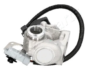 EGR Valve (EGR-0306)