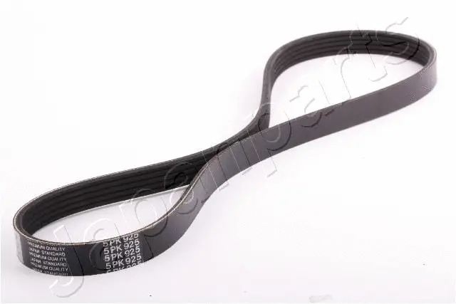 V-Ribbed Belt (TV-925)
