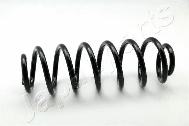 Suspension Spring (ZC6164A)