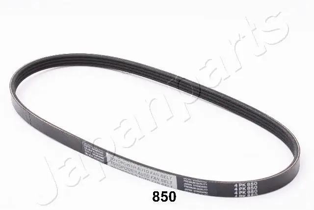 V-Ribbed Belt (TV-850)