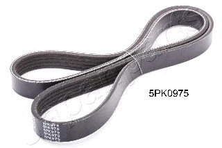 V-Ribbed Belt (DV-5PK0975)