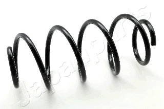 Suspension Spring (ZC1713H)