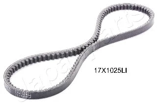V-Belt (DT-17X1025LI)
