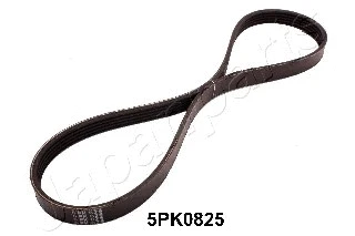V-Ribbed Belt (DV-5PK0825)