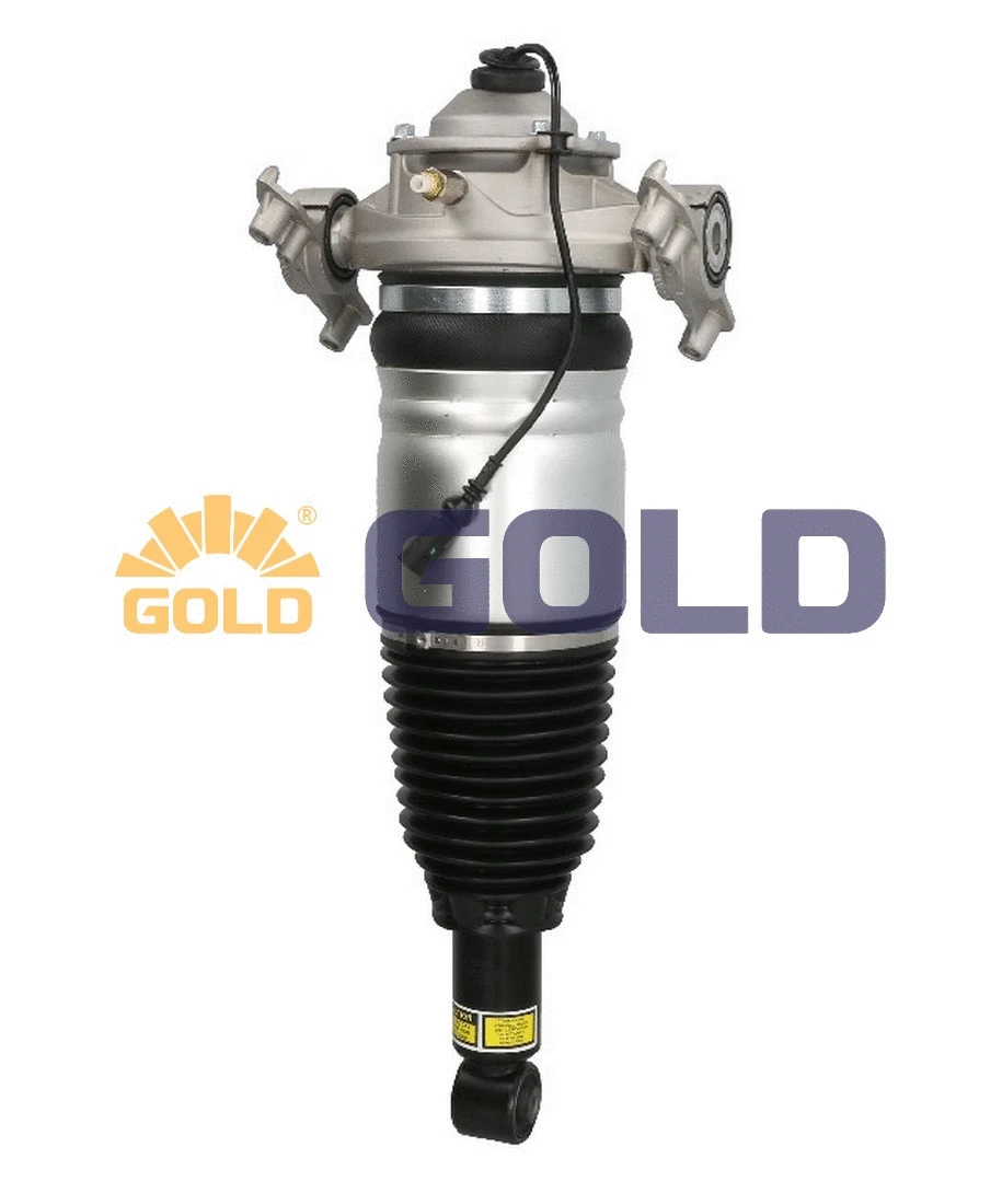 Air Suspension Strut (GAS093)