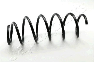 Suspension Spring (ZC6069H)