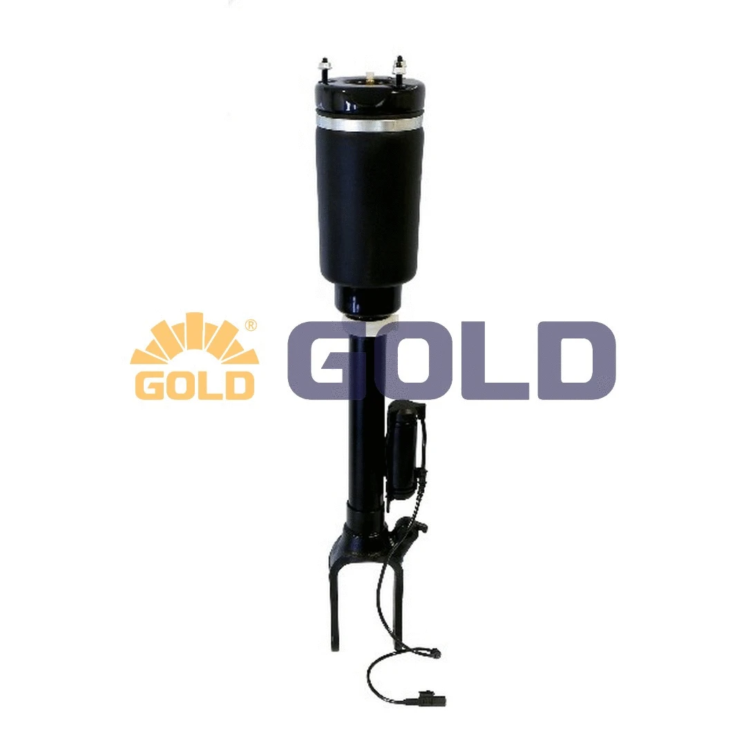 Air Suspension Strut (6160070)