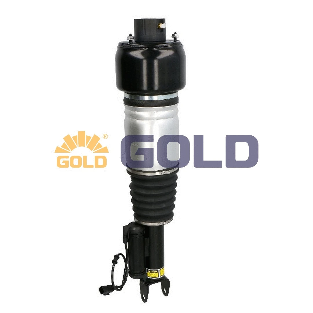 Air Suspension Strut (G680491)