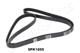 V-Ribbed Belt (DV-5PK1855)