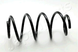 Suspension Spring (ZC3550H)