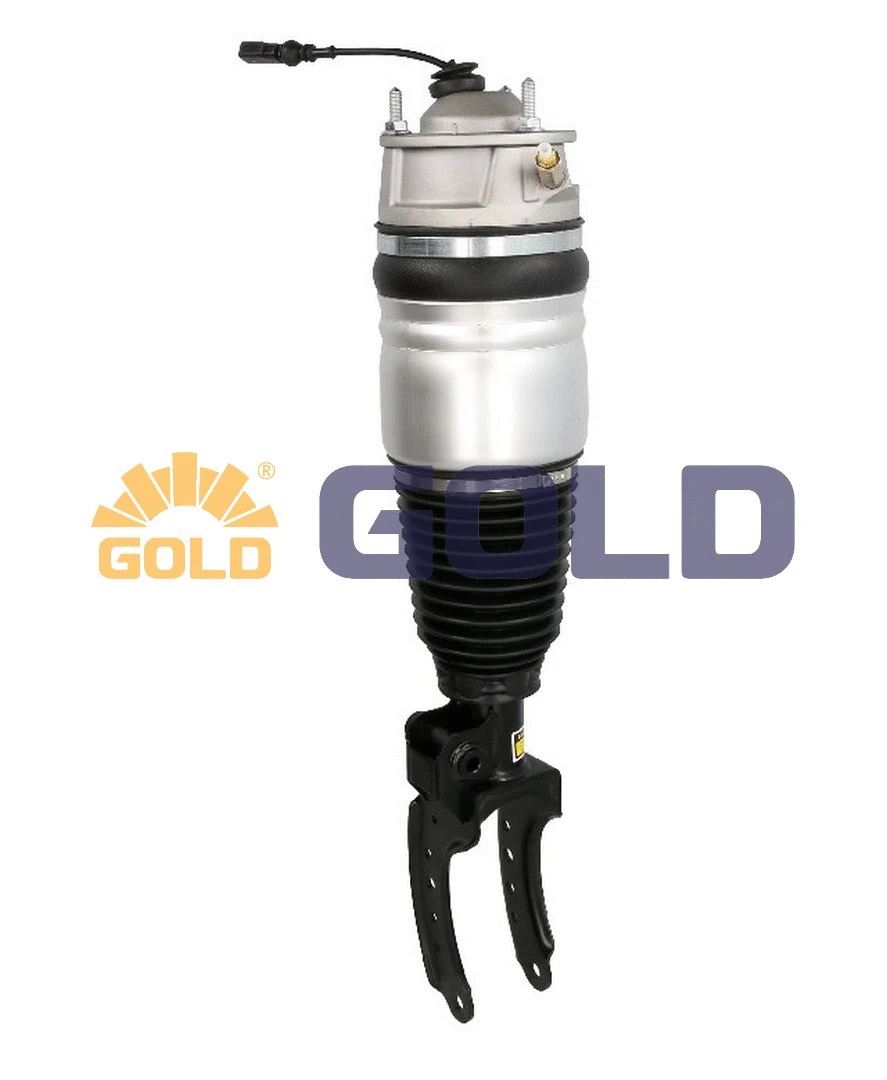 Air Suspension Strut (GAS091)
