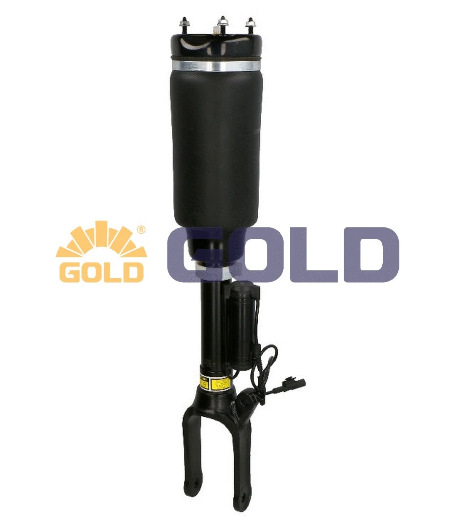 Air Suspension Strut (6160250)