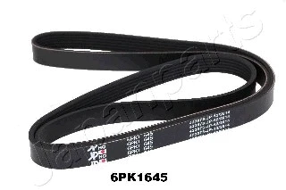 V-Ribbed Belt (DV-6PK1645)