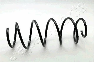 Suspension Spring (ZC3006H)