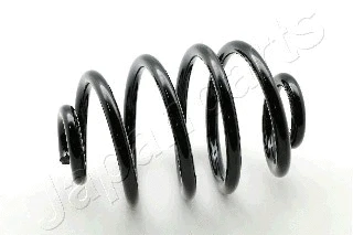 Suspension Spring (ZC6342X)