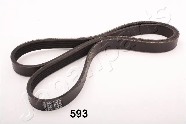 V-Ribbed Belt (TV-593)