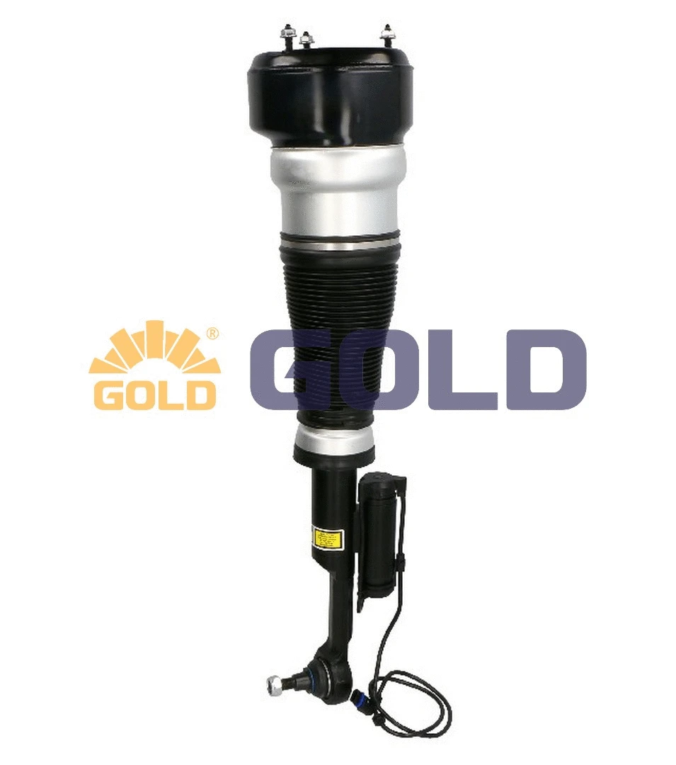 Air Suspension Strut (G680462)