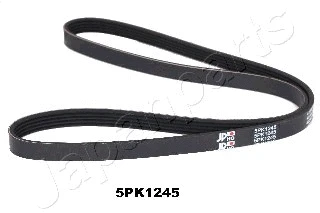 V-Ribbed Belt (DV-5PK1245)