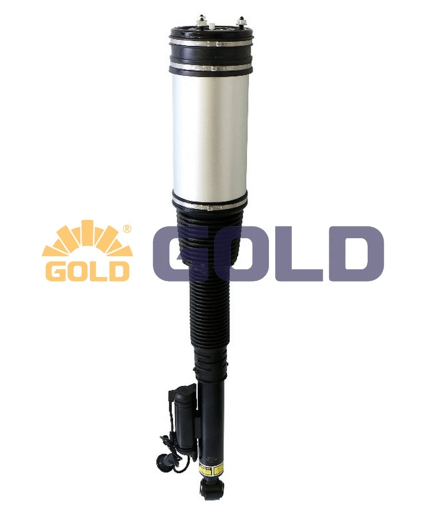 Air Suspension Strut (6160100)