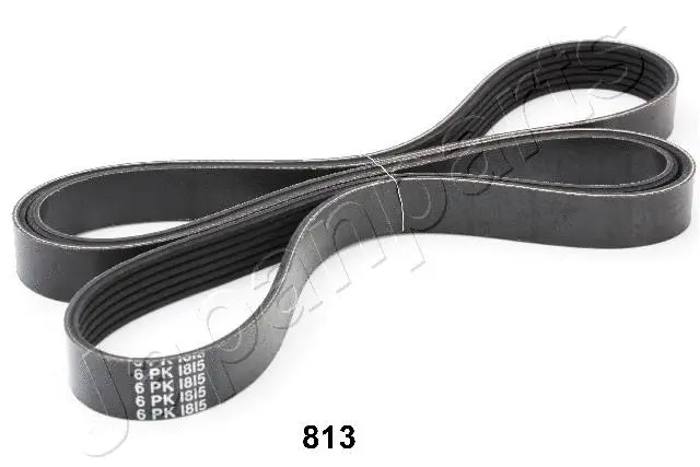 V-Ribbed Belt (TV-813)
