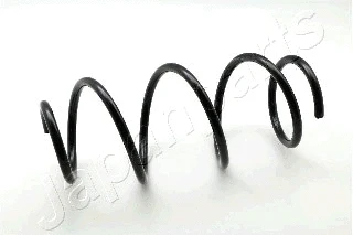 Suspension Spring (ZC3935H)
