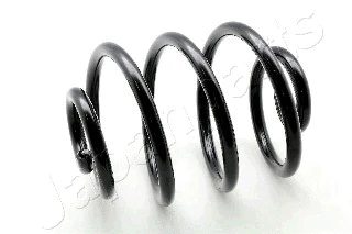Suspension Spring (ZC5103X)