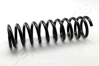 Suspension Spring (ZC1103D)