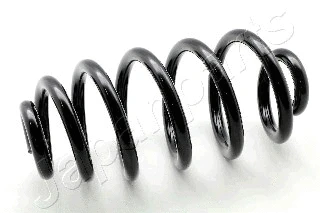 Suspension Spring (ZC6573H)