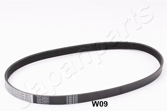 V-Ribbed Belt (TV-W09)