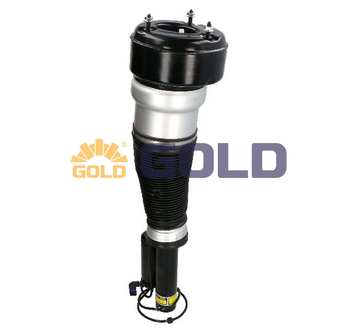 Air Suspension Strut (6160030)