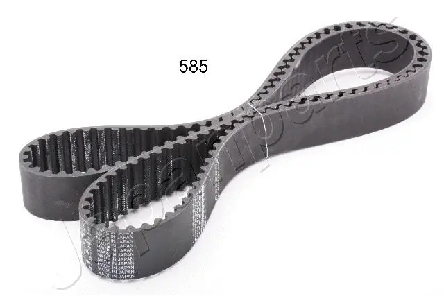 Timing Belt (DD-585)