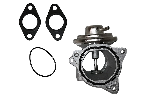 EGR Valve (BGR13003)