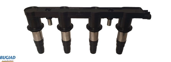 Ignition Coil (BIC19818)