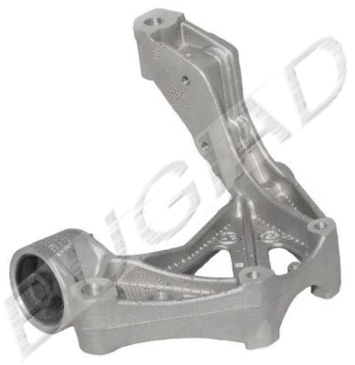 Holder, control arm mounting (BSP20325)