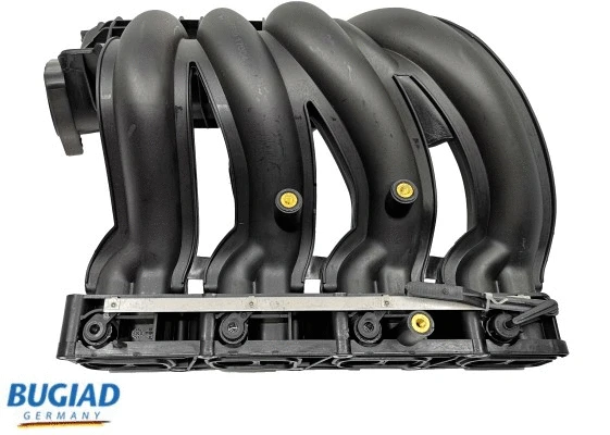 Intake Manifold Module (BIM17004)