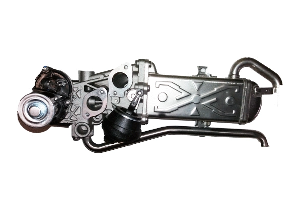 EGR Valve (BSP25011)