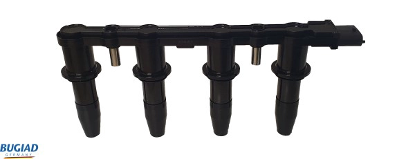 Ignition Coil (BIC19817)