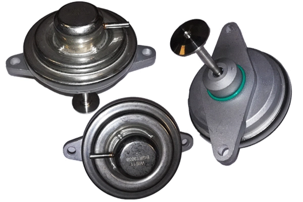 EGR Valve (BGR13038)
