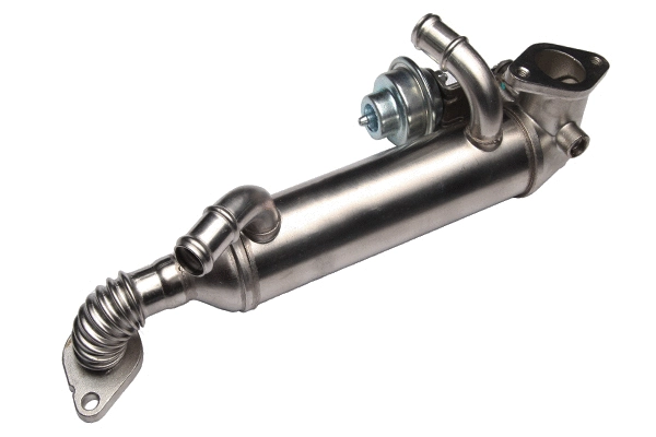 EGR Valve (BGR13101)